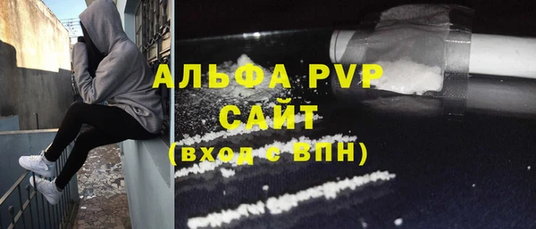 крисы Алексин