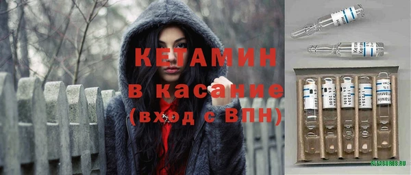 крисы Алексин