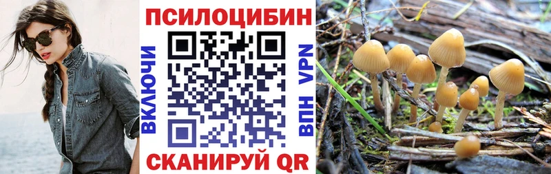 хочу наркоту  Льгов  гидра онион  Псилоцибиновые грибы Psilocybine cubensis 